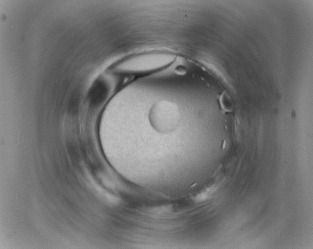 X0000065970156200603172059