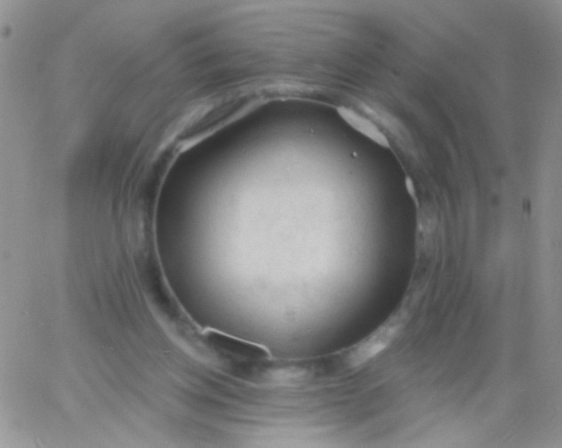 X0000065970158200603172059