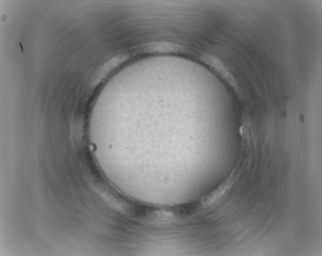 X0000065970159200603172059