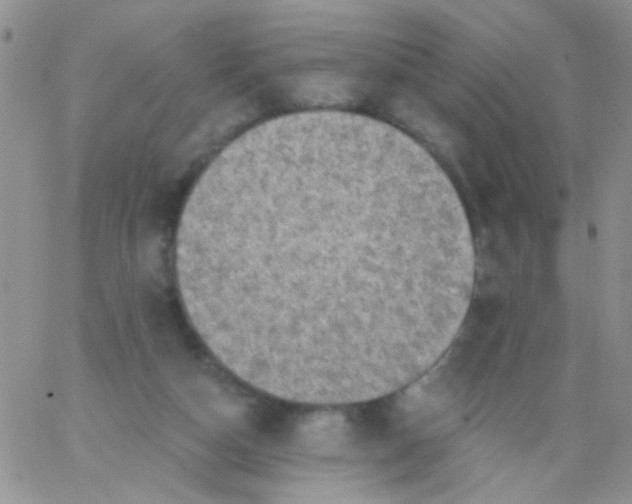 X0000065970162200603172059