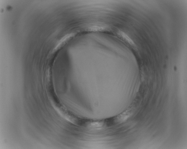 X0000065970163200603172059