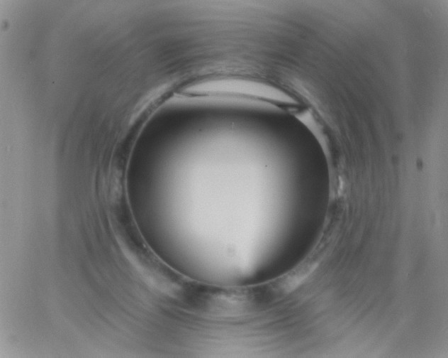 X0000065970164200603172059