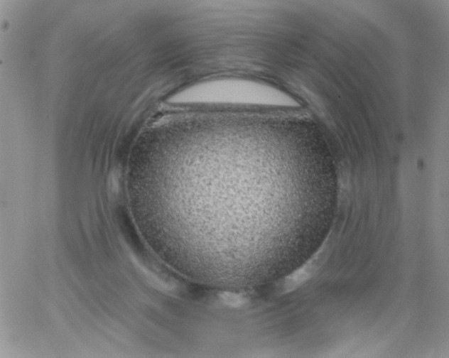 X0000065970166200603172059