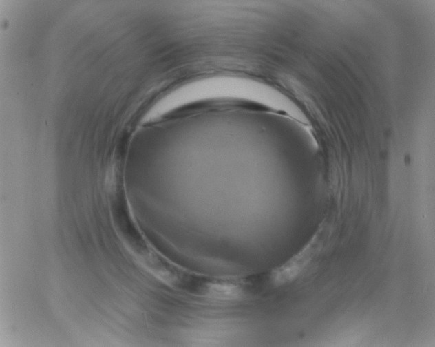 X0000065970167200603172059