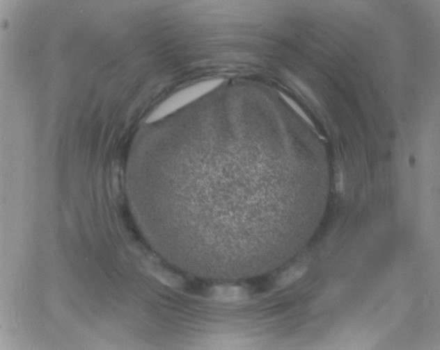 X0000065970169200603172059