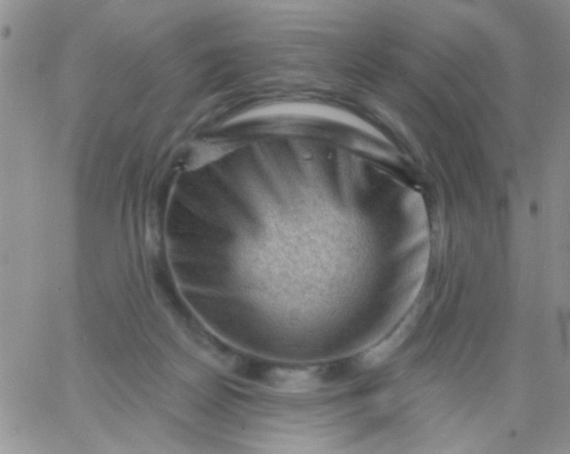 X0000065970170200603172059