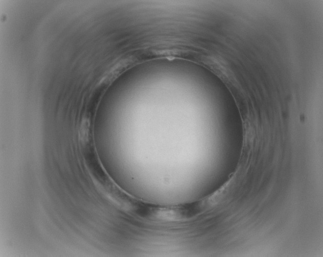 X0000065970171200603172059