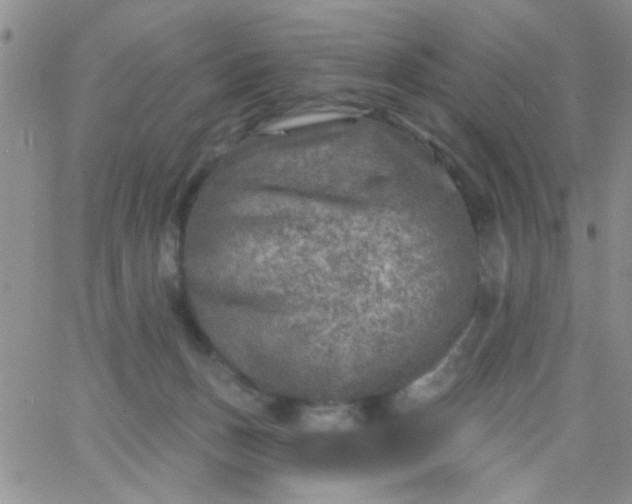 X0000065970175200603172059