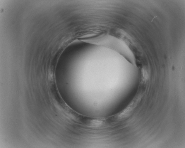 X0000065970176200603172059