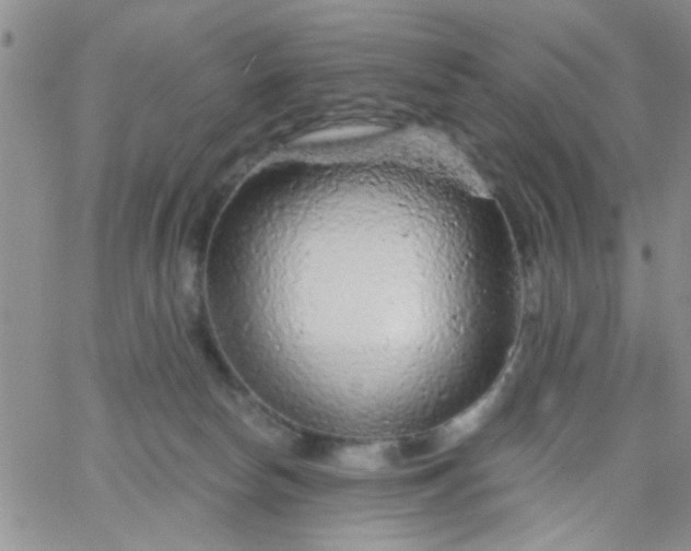 X0000065970178200603172059