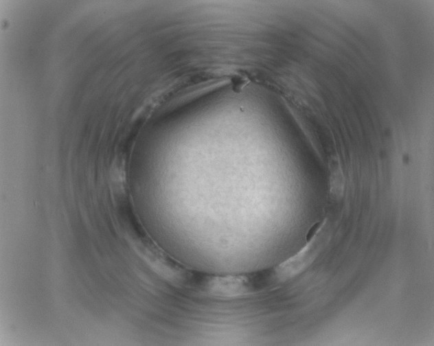 X0000065970179200603172059