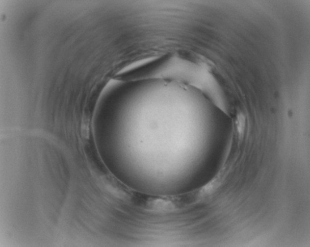 X0000065970180200603172059