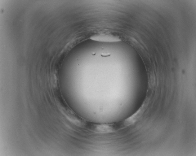 X0000065970183200603172059