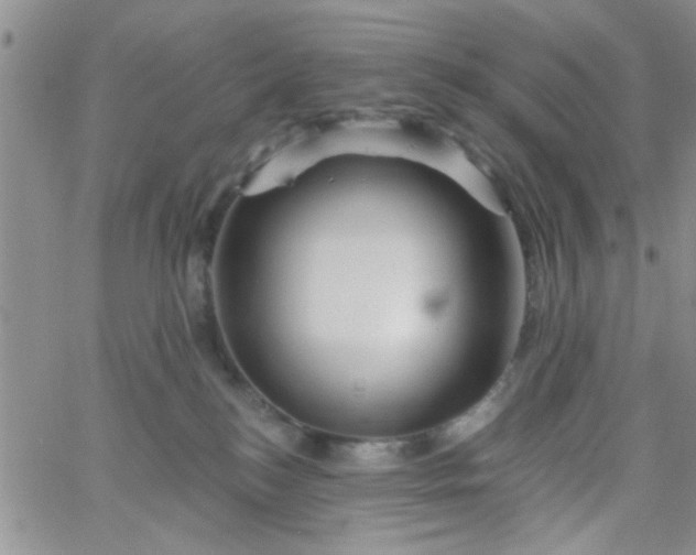 X0000065970184200603172059