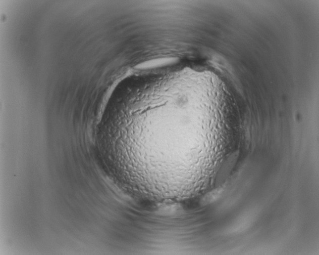 X0000065970185200603172059