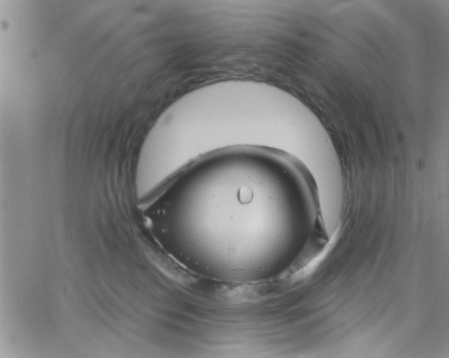 X0000065970186200603172059