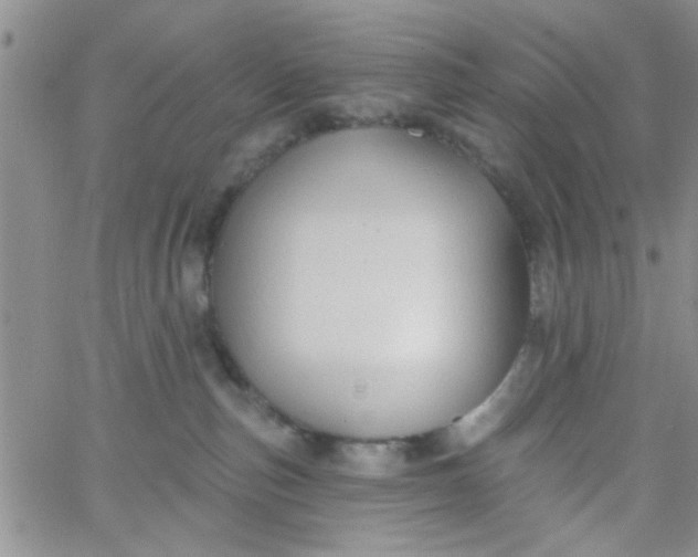 X0000065970187200603172059