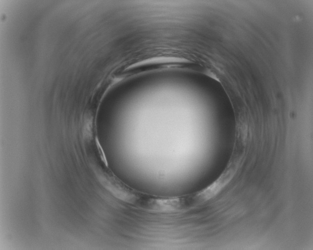 X0000065970188200603172059