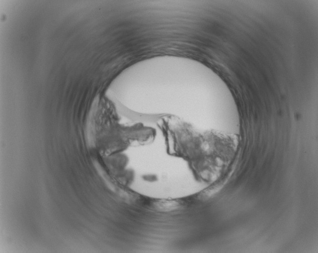 X0000065970189200603172059