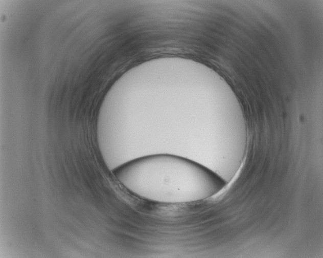 X0000065970190200603172059