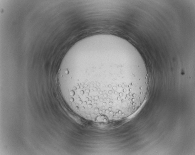 X0000065970191200603172059