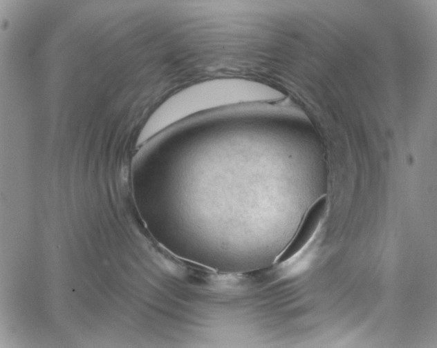 X0000065970192200603172059