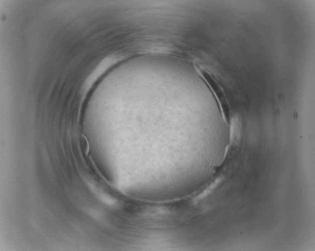 X0000065970195200603172058