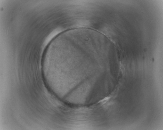 X0000065970196200603172058