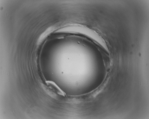 X0000065970197200603172058