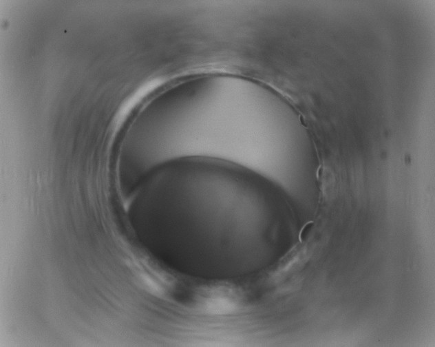 X0000065970200200603172058