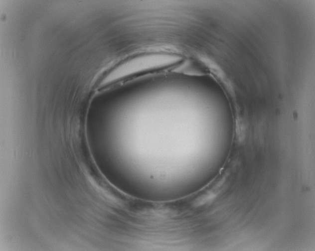 X0000065970201200603172058