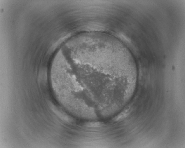 X0000065970202200603172058