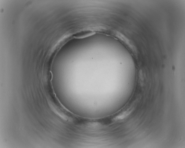 X0000065970203200603172058