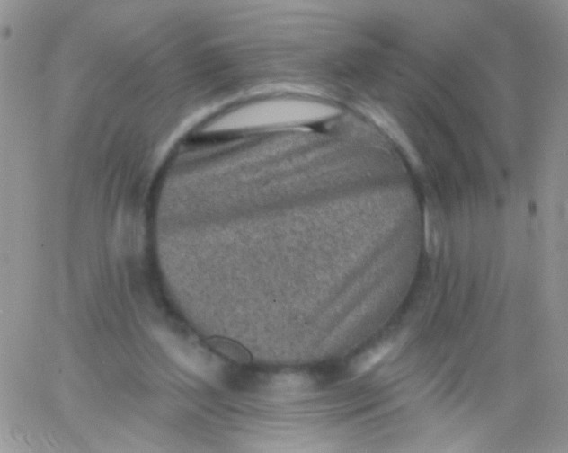 X0000065970204200603172058