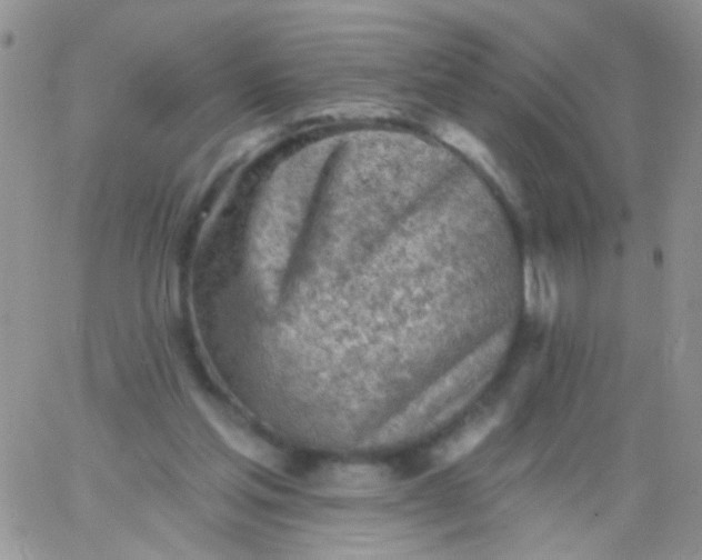 X0000065970205200603172058