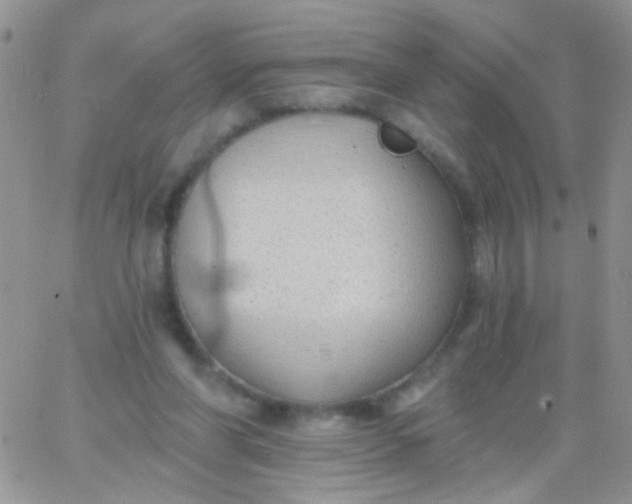 X0000065970206200603172058