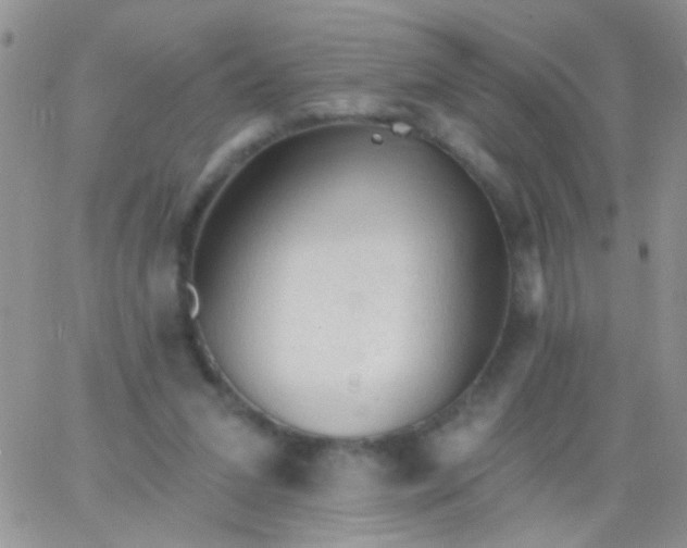 X0000065970207200603172058