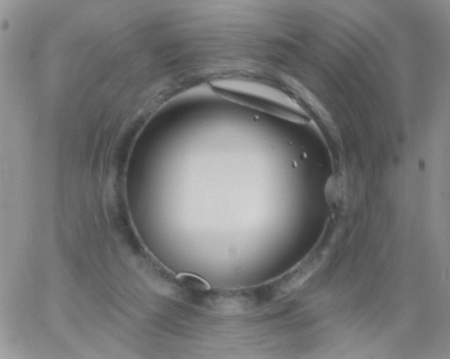 X0000065970209200603172058