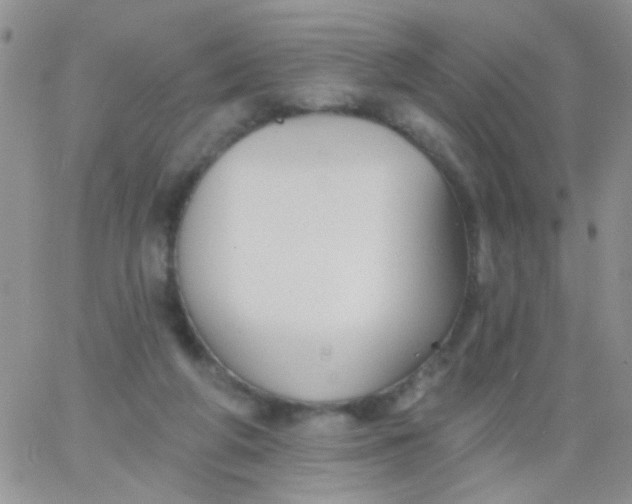 X0000065970210200603172058