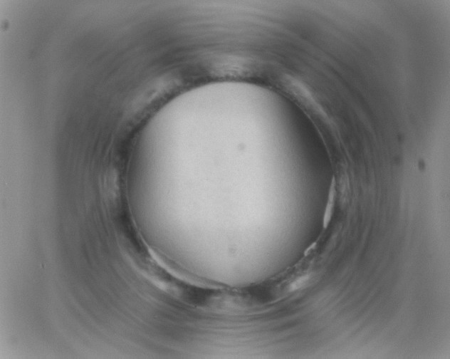 X0000065970211200603172058