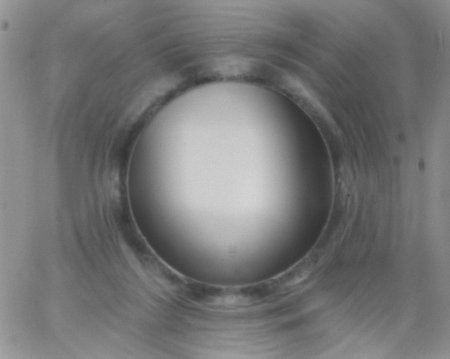 X0000065970212200603172058