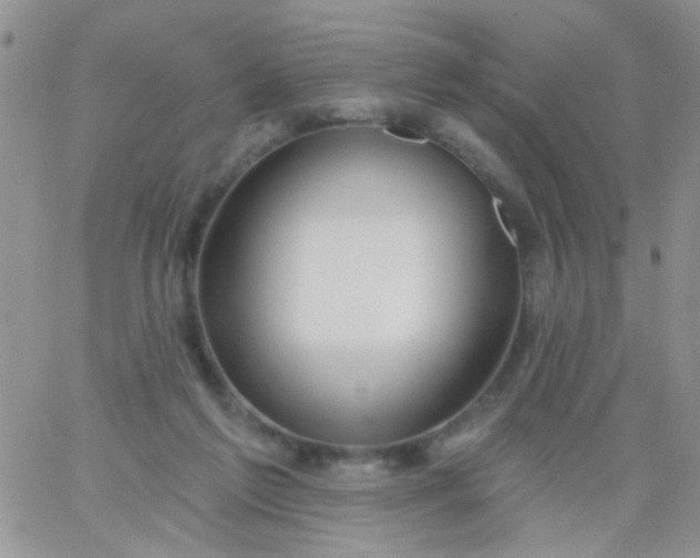 X0000065970213200603172058