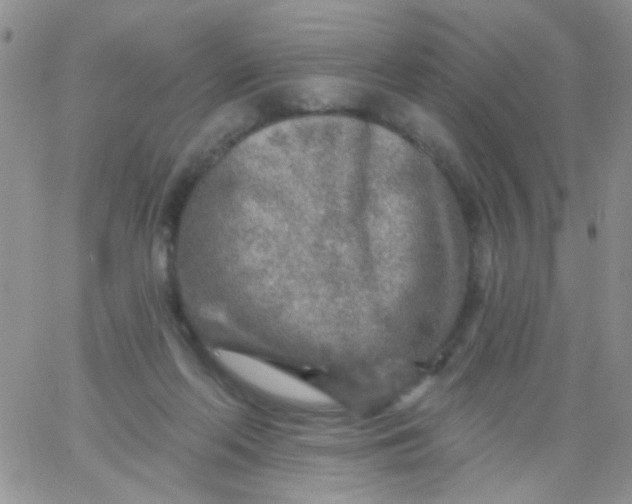 X0000065970214200603172058