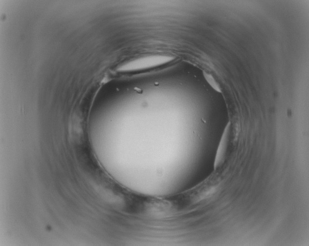 X0000065970215200603172058