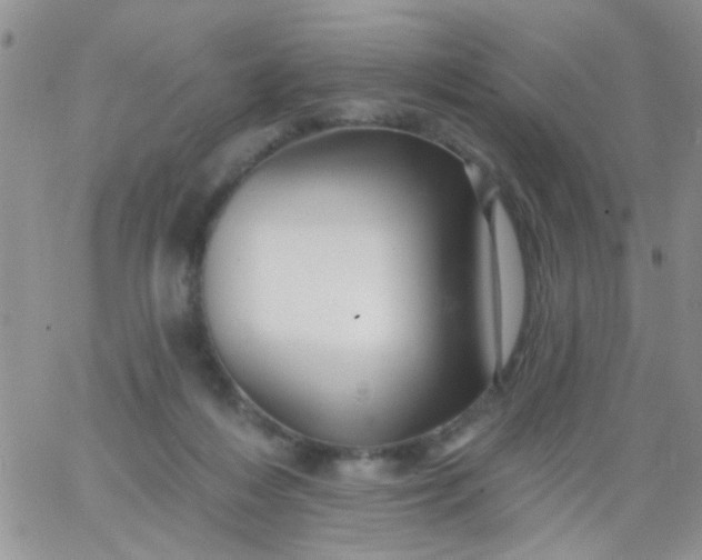 X0000065970216200603172058