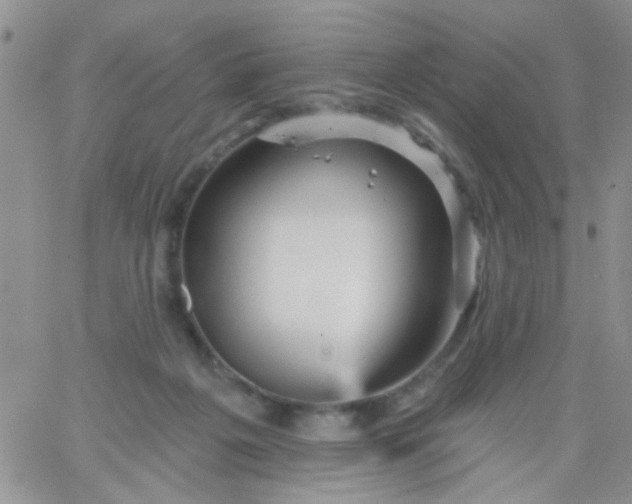 X0000065970217200603172058