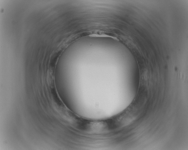 X0000065970218200603172058