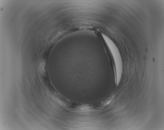 X0000065970219200603172058