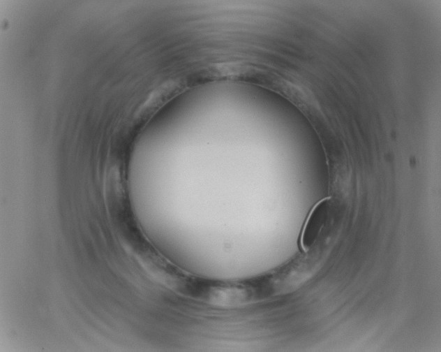 X0000065970220200603172058