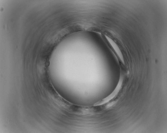 X0000065970221200603172058